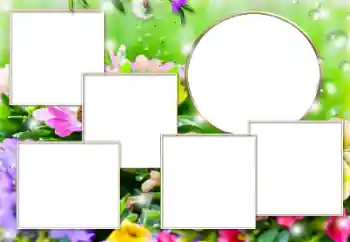 범주에서의 사진 효과 다른 № 182304 범주에서의 사진 효과 다른 № 182304