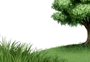 범주에서의 사진 효과 다른 № 183333