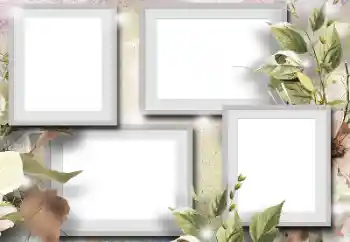 범주에서의 사진 효과 다른 № 184591 범주에서의 사진 효과 다른 № 184591