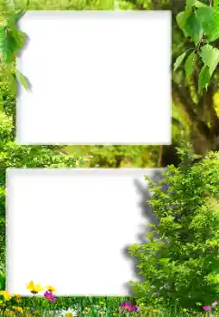 범주에서의 사진 효과 다른 № 189416 범주에서의 사진 효과 다른 № 189416