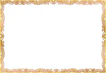 범주에서의 사진 효과 다른 № 195258