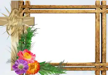 범주에서의 사진 효과 다른 № 198770 범주에서의 사진 효과 다른 № 198770