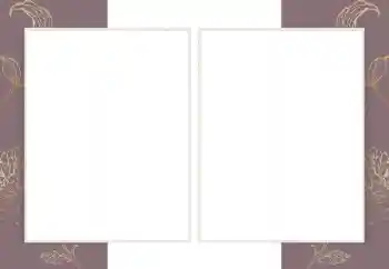 범주에서의 사진 효과 다른 № 198921