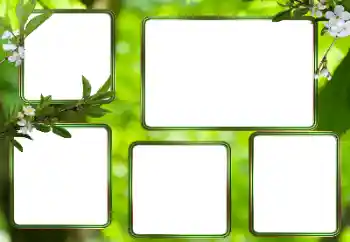 범주에서의 사진 효과 다른 № 205353 범주에서의 사진 효과 다른 № 205353