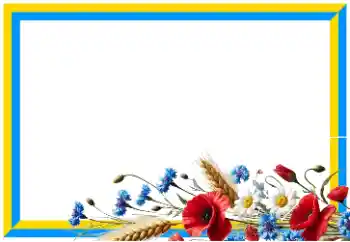 범주에서의 사진 효과 다른 № 206090