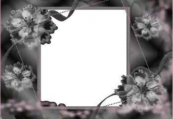 범주에서의 사진 효과 상장 № 114453