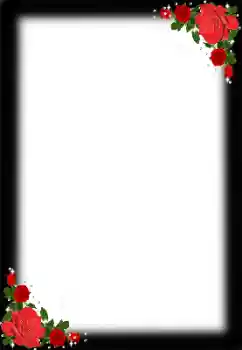 범주에서의 사진 효과 상장 № 138589