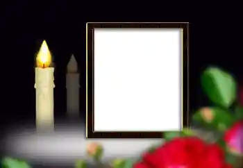 범주에서의 사진 효과 상장 № 149088