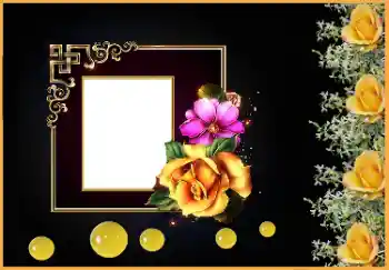 프레임에 비문: 사랑하는 추억에