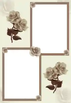 프레임에 비문: 잊지 않기 위하여