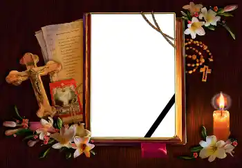 범주에서의 사진 효과 상장 № 5421