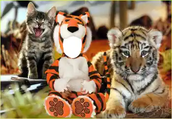 범주에서의 사진 효과 어린이용 № 118830 범주에서의 사진 효과 어린이용 № 118830