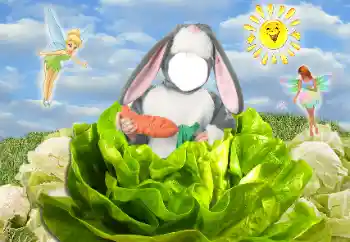 범주에서의 사진 효과 어린이용 № 118833 범주에서의 사진 효과 어린이용 № 118833