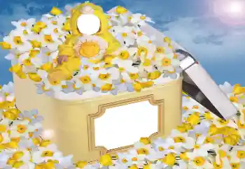 범주에서의 사진 효과 어린이용 № 33984 범주에서의 사진 효과 어린이용 № 33984