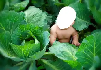 범주에서의 사진 효과 어린이용 № 90533 범주에서의 사진 효과 어린이용 № 90533