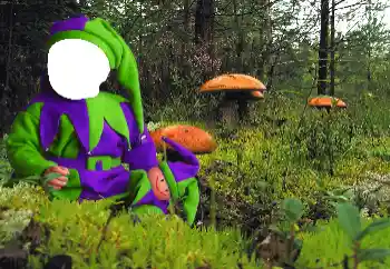 범주에서의 사진 효과 어린이용 № 90549 범주에서의 사진 효과 어린이용 № 90549