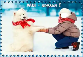 프레임에 비문: Мы - друзья!