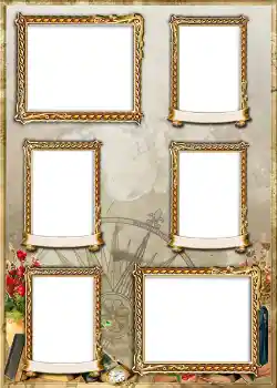 범주에서의 사진 효과 앨범 №1 № 839