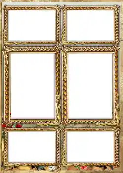 범주에서의 사진 효과 앨범 №1 № 842