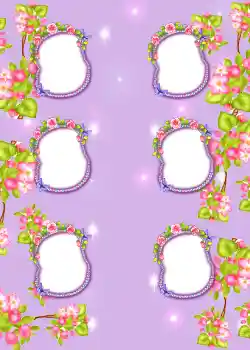 범주에서의 사진 효과 앨범 №3 № 855