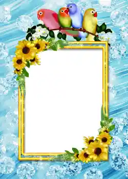 범주에서의 사진 효과 앨범 №4 № 860