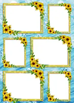 범주에서의 사진 효과 앨범 №4 № 904