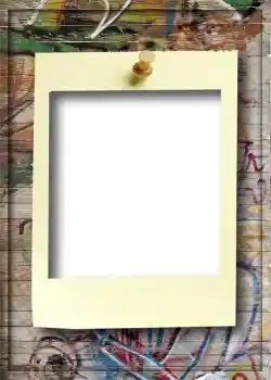 범주에서의 사진 효과 앨범 №5 № 908