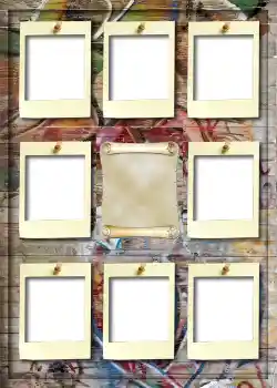 범주에서의 사진 효과 앨범 №5 № 910