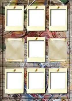 범주에서의 사진 효과 앨범 №5 № 911