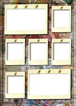 범주에서의 사진 효과 앨범 №5 № 912