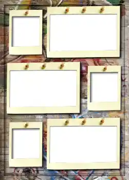 범주에서의 사진 효과 앨범 №5 № 913