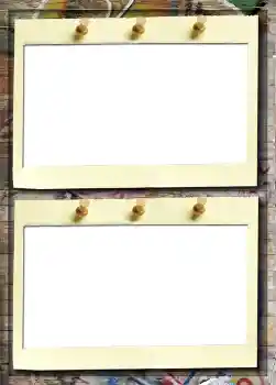 범주에서의 사진 효과 앨범 №5 № 914