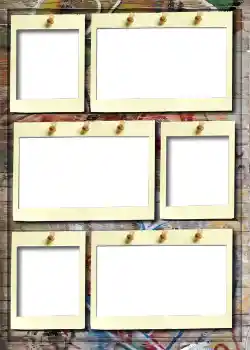 범주에서의 사진 효과 앨범 №5 № 915