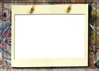 범주에서의 사진 효과 앨범 №5 № 916