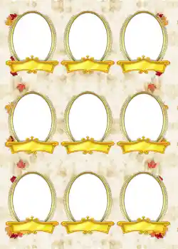 범주에서의 사진 효과 앨범 №6 № 919