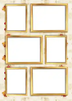 범주에서의 사진 효과 앨범 №6 № 924