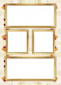 범주에서의 사진 효과 앨범 №6 № 926