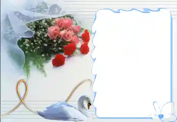 범주에서의 사진 효과 연인용 프레임 № 12892