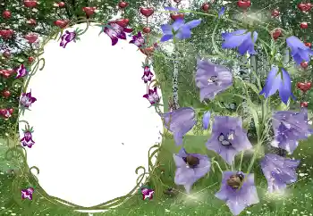 범주에서의 사진 효과 연인용 프레임 № 131799 범주에서의 사진 효과 연인용 프레임 № 131799