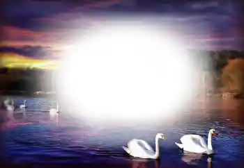 범주에서의 사진 효과 연인용 프레임 № 153250 범주에서의 사진 효과 연인용 프레임 № 153250