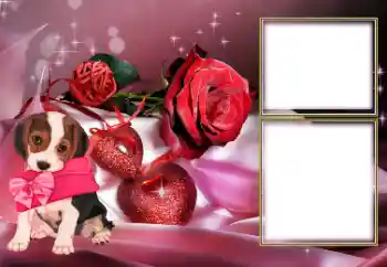 범주에서의 사진 효과 연인용 프레임 № 154605 범주에서의 사진 효과 연인용 프레임 № 154605