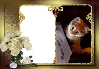 범주에서의 사진 효과 연인용 프레임 № 163583 범주에서의 사진 효과 연인용 프레임 № 163583