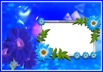 범주에서의 사진 효과 연인용 프레임 № 166270