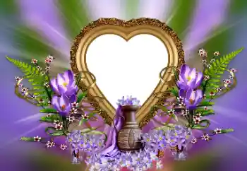 범주에서의 사진 효과 연인용 프레임 № 171815