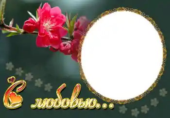 프레임에 비문: С любовью... 프레임에 비문: С любовью...