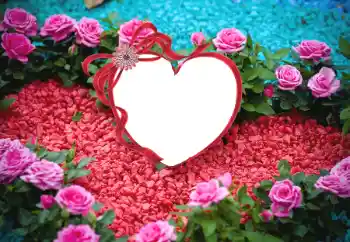 범주에서의 사진 효과 연인용 프레임 № 175547 범주에서의 사진 효과 연인용 프레임 № 175547