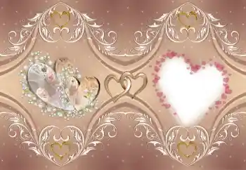 범주에서의 사진 효과 연인용 프레임 № 176781