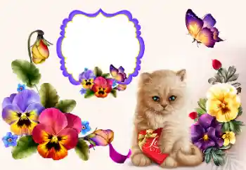 범주에서의 사진 효과 연인용 프레임 № 177858