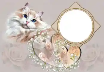 범주에서의 사진 효과 연인용 프레임 № 180791 범주에서의 사진 효과 연인용 프레임 № 180791