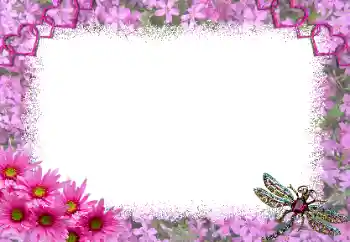 범주에서의 사진 효과 연인용 프레임 № 191697